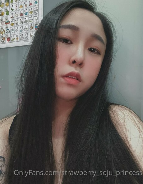 strawberry soju princess 無料のスター 写真