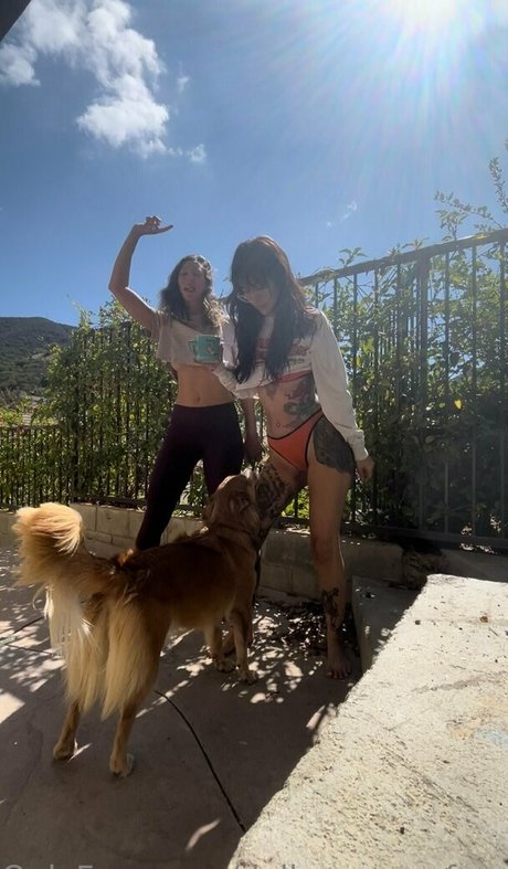 dallasemaxxfree ポルノスター 写真