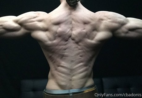 cbadonis 美しいスター 写真