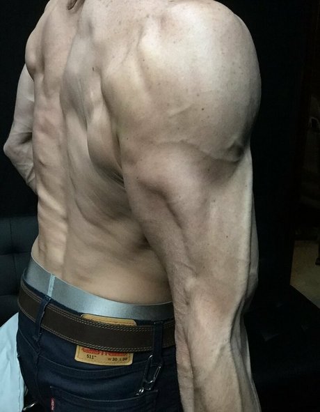cbadonis ヌードモデル 画像