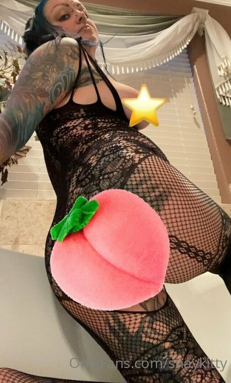 shaykitty ホットスター ギャラリー