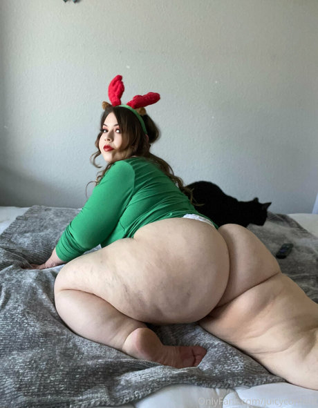 juicycontent 高品質のスター 写真