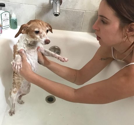 Scout Willis ポルノスター 素敵 画像