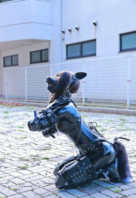 Dlemon 美しいポルノスター 写真