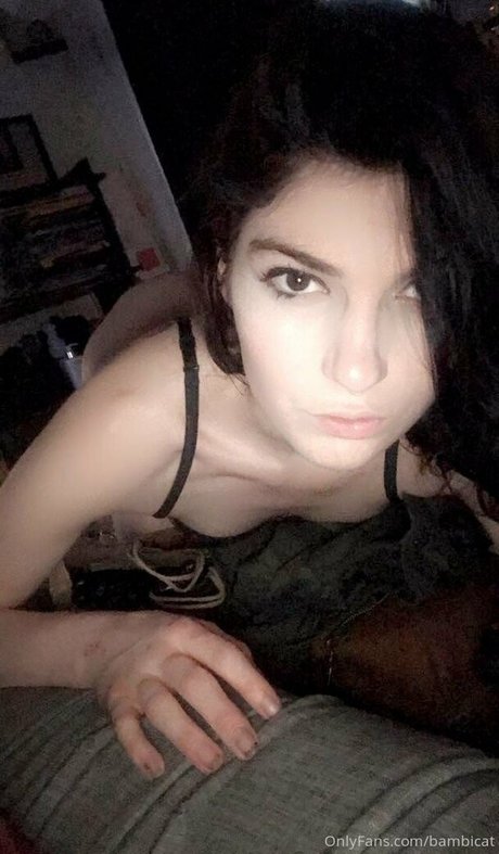 bambicat ポルノスター セクシー 写真
