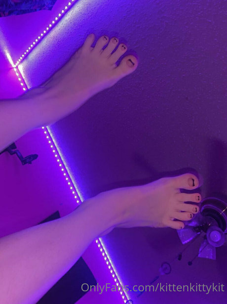 kittenkittykit 美しいスター 写真