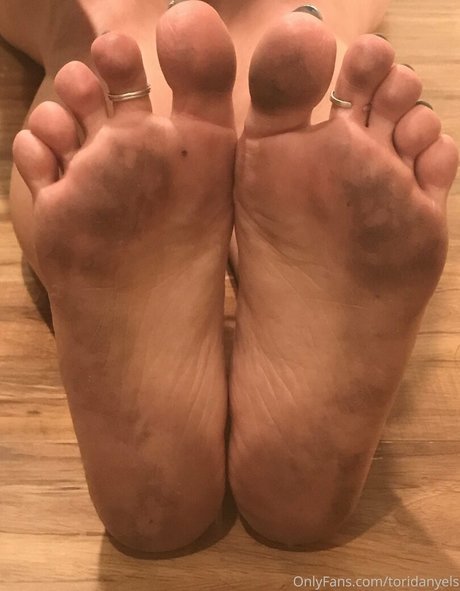toridanyels 最高のスター 画像