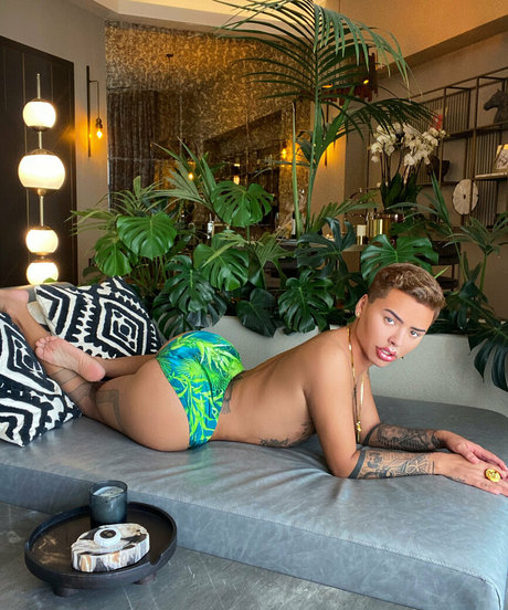 mateoblanco 最高のスター 写真