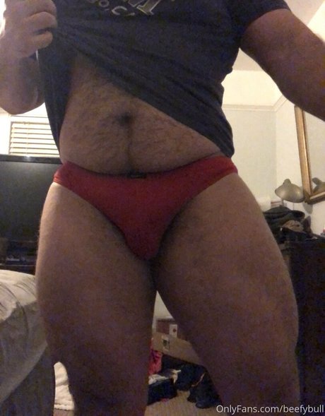 beefybull HDモデル 写真