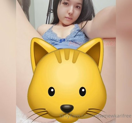 mewmewkarifree profile image