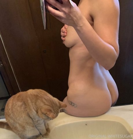 whitesugarr ポルノスター 写真