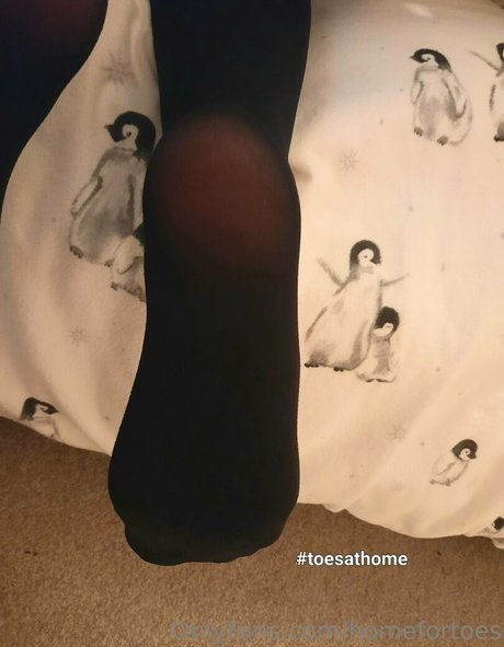 homefortoes セクシー女優 アーカイブ