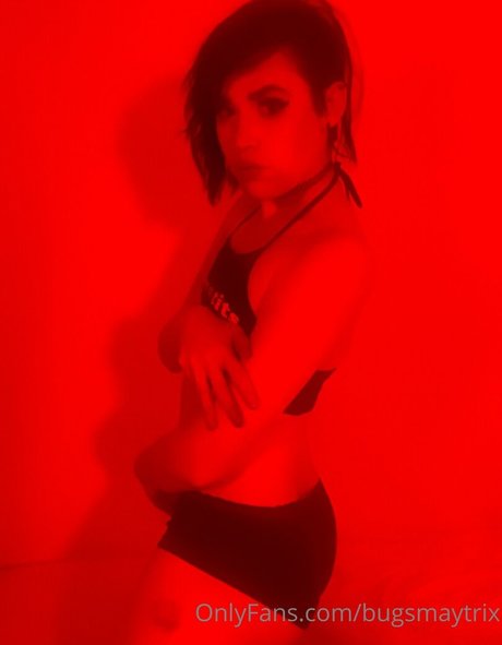 bugsmaytrix HDモデル 写真