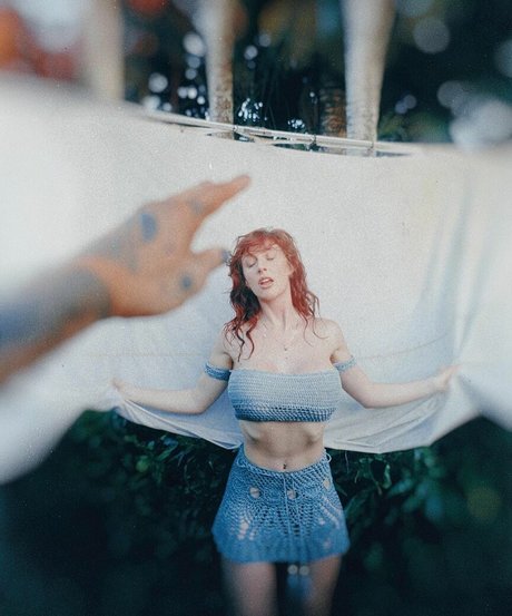 Ohrangutang ポルノスター エロティック 画像