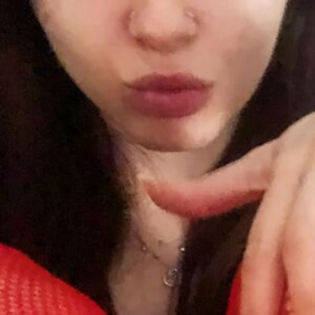 alexislayer HDモデル 写真