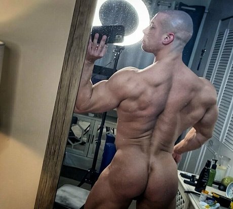 sean costin アートスター 画像