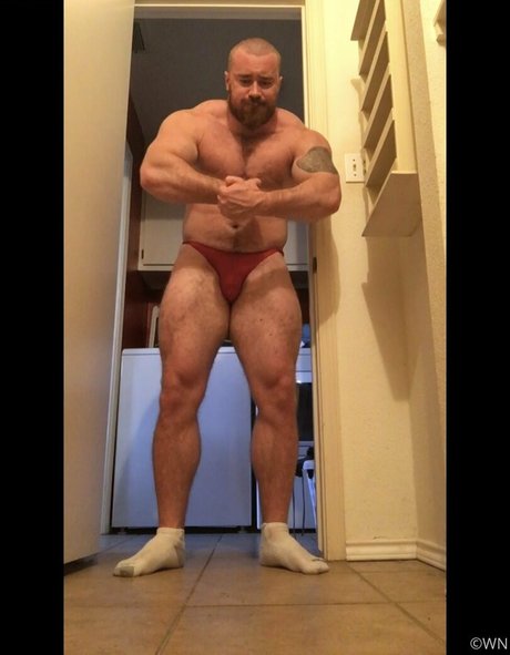 beefbeast かわいいスター 写真