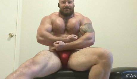 beefbeast ホットモデル 写真