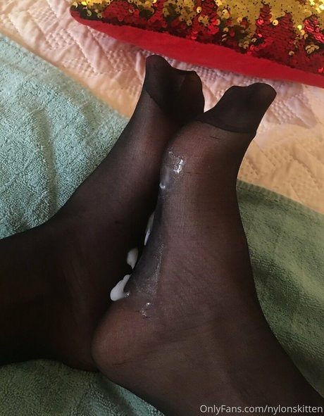 nylonskitten 美しいスター 写真
