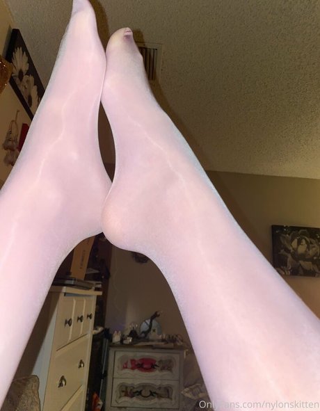 nylonskitten ポルノスター トップ 写真