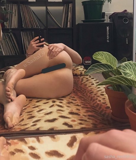 sasha reed9free ヌードのポルノスター 画像