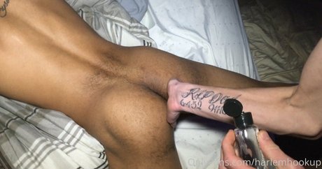 harlemhookup ポルノスター 可愛い 写真