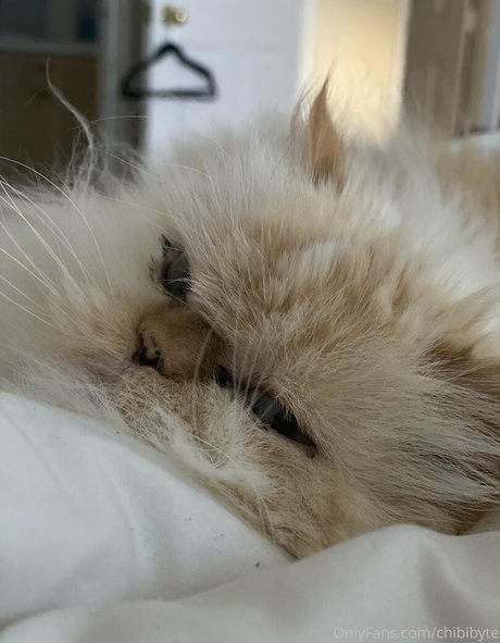巨根アナルOnlyFans トップ 写真