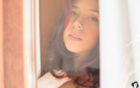 bambisparadise 素敵なスター 写真