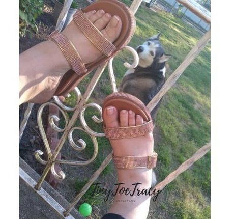 tinytoetracy 美しいモデル アーカイブ