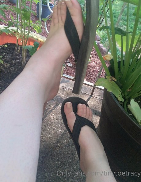 tinytoetracy トップ女優 画像
