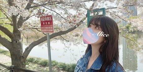 alice monthly fans セクシーなスター 写真