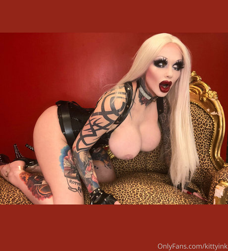 kittyink 最高のスター 写真
