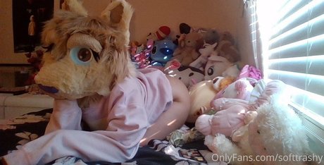 softtrashy profile image