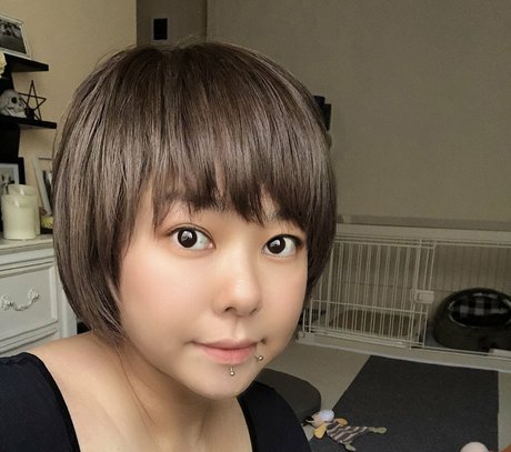Pchan 666 HDポルノスター 写真
