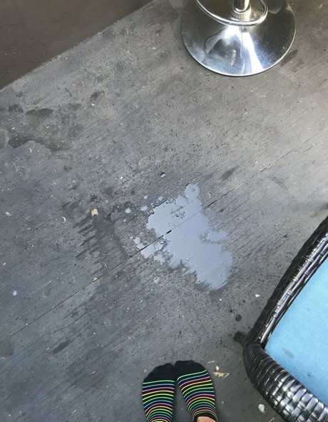 Gigikida 無料スター 写真