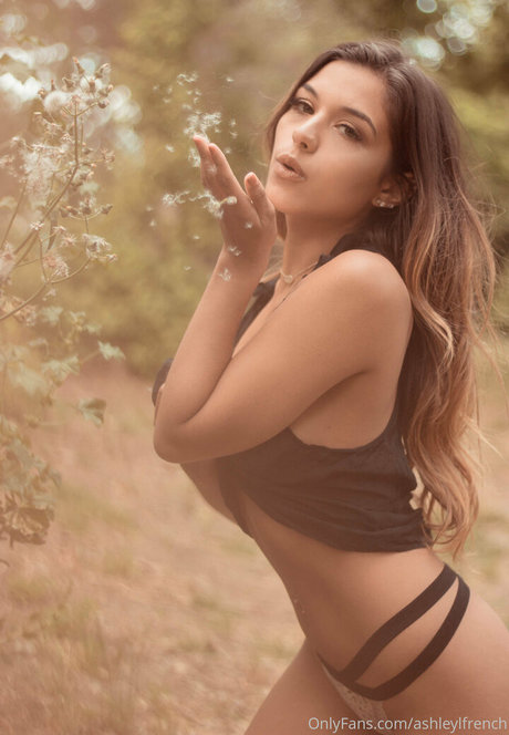 ashleylfrench 無料のポルノスター 画像