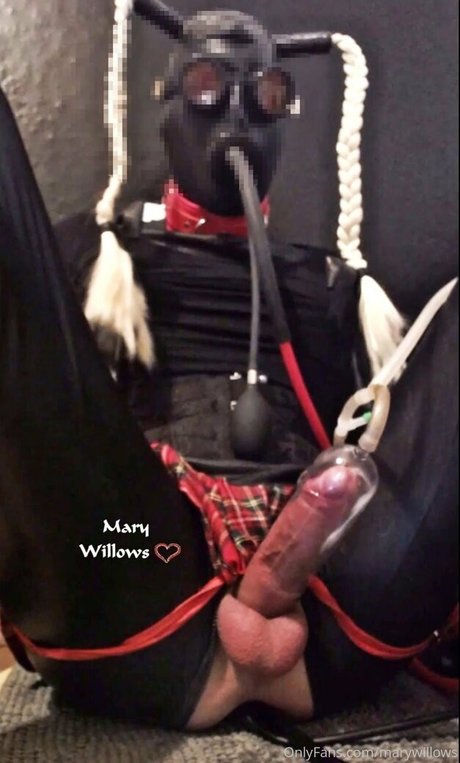 marywillows 素敵なモデル アーカイブ