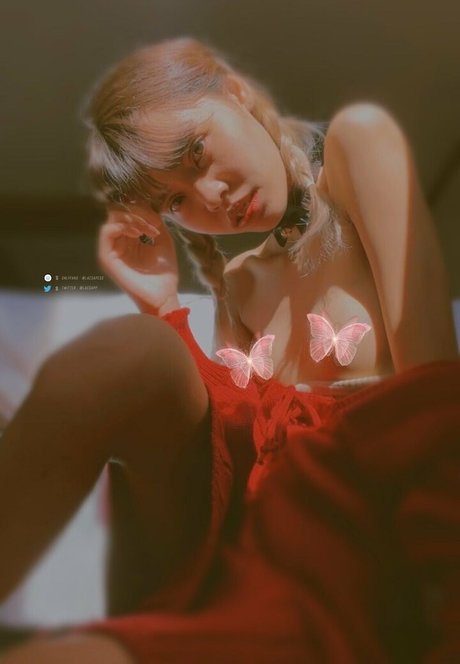 lacsapess 最高のスター 画像