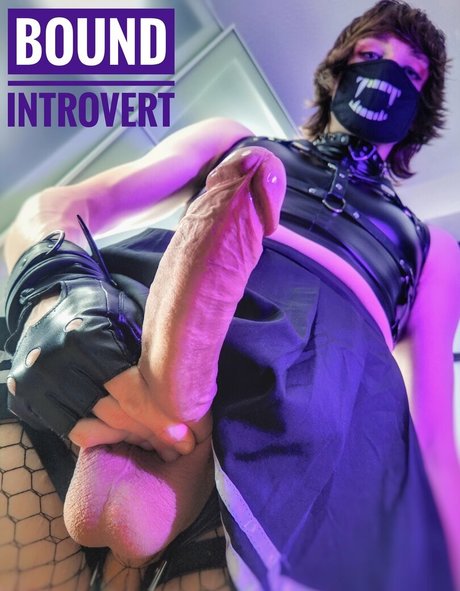 BoundIntrovert アダルトスター 写真
