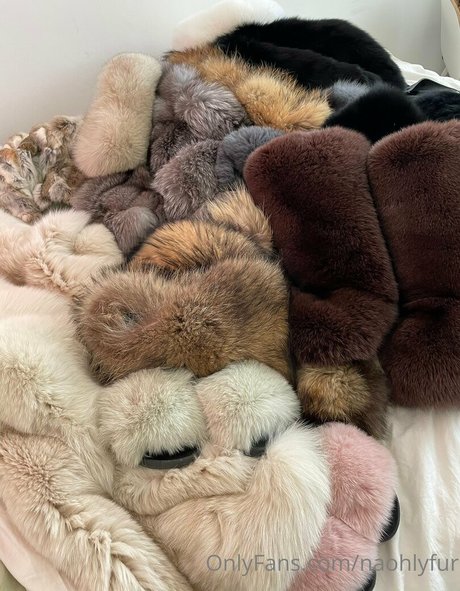 naohlyfur 最高のスター アーカイブ