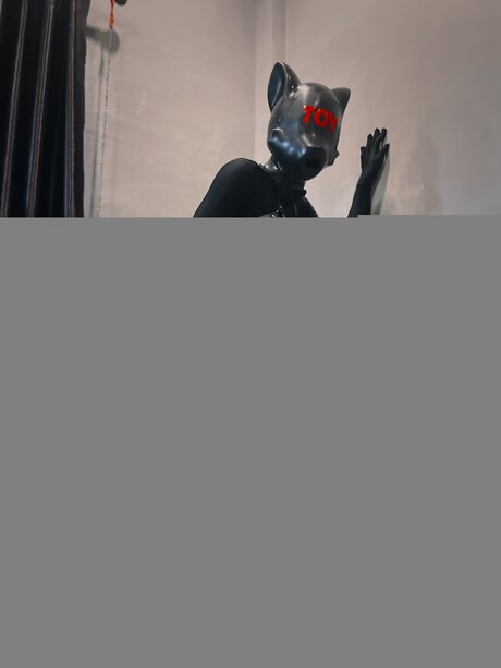 memii life profile image
