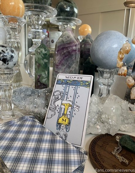 Matrixmika 独占モデル ギャラリー