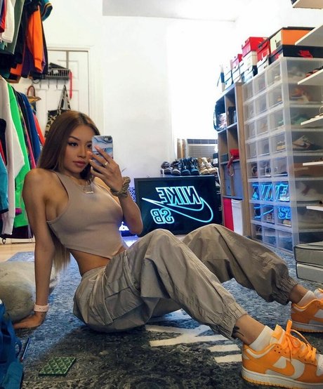 Sinsandra HDモデル 画像
