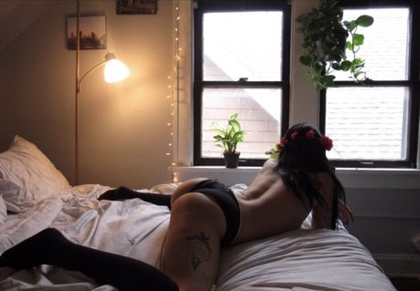 Gothjockof ホットなポルノスター 画像