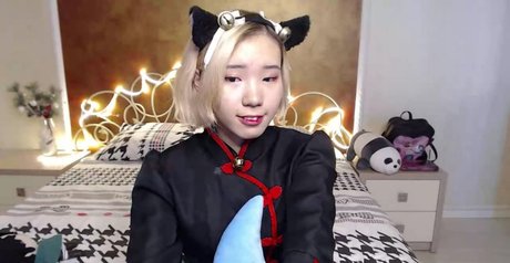 Pancakee xxxスター 写真