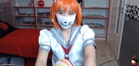 Pancakee ポルノモデル 写真