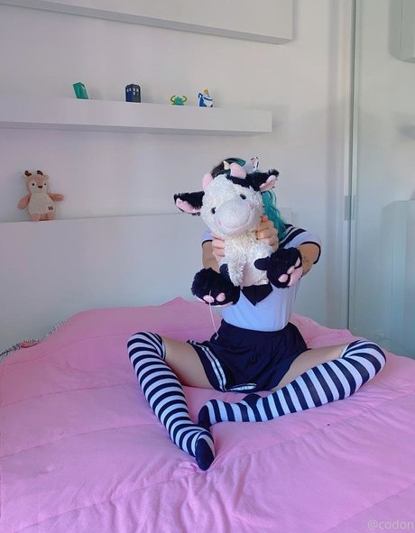 codon sg 高品質スター 写真