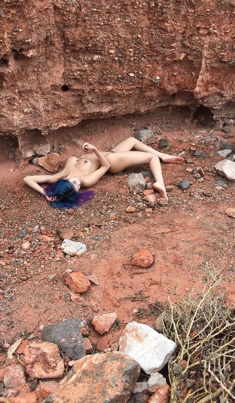 Joeykim トップスター 写真