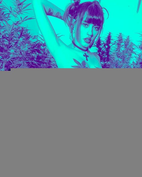 Amethyst queen19 HDモデル 写真