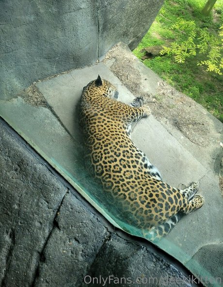 geekikitten ポルノスター ヌード 画像